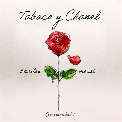 tabaco y chanel bacilos